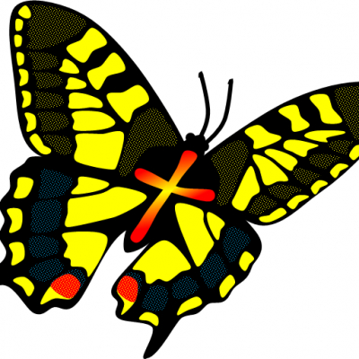 Buttefly logo