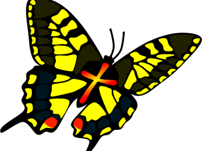 Buttefly logo